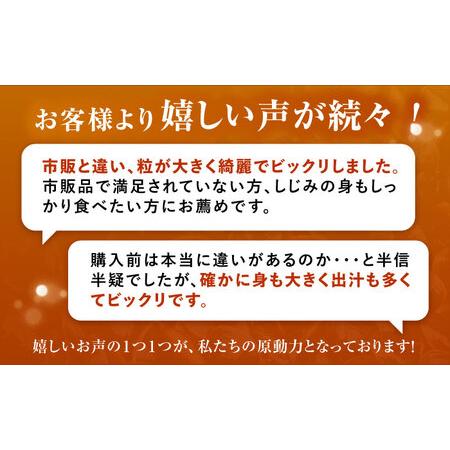 ふるさと納税 【全6回定期便】産地直送！宍道湖産 冷凍大和しじみMサイズ2kg(500g×4) 砂抜き処理済 島根県松江市/りすたむmatsue[ALDE008] 島根県松江市の画像