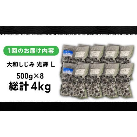 ふるさと納税 【全3回定期便】産地直送！宍道湖産 冷凍大和しじみLサイズ4kg(500g×8) 砂抜き処理済 島根県松江市/りすたむmatsue[ALDE016] 島根県松江市の画像
