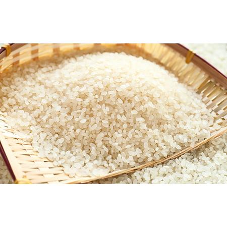 ふるさと納税 まるきんの丹波ひかみ米「ミルキークイーン」5kg 兵庫県丹波市