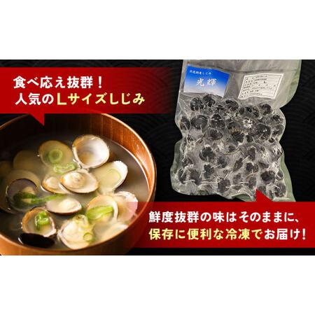 ふるさと納税 【全6回定期便】産地直送！宍道湖産 冷凍大和しじみLサイズ1kg(500g×2) 砂抜き処理済 島根県松江市/りすたむmatsue[ALDE023] 島根県松江市の画像