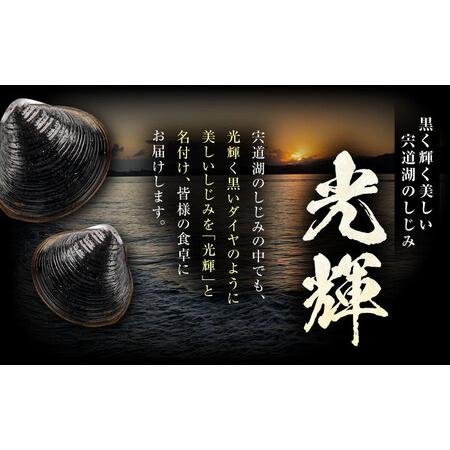 ふるさと納税 【全6回定期便】産地直送！宍道湖産 冷凍大和しじみLサイズ1kg(500g×2) 砂抜き処理済 島根県松江市/りすたむmatsue[ALDE023] 島根県松江市の画像