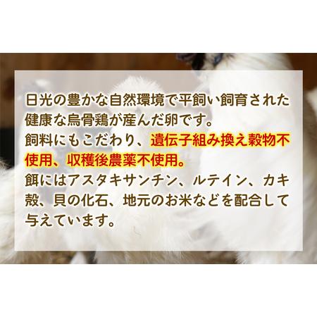 ふるさと納税 [定期便／3ヵ月] 希少！平飼い烏骨鶏の卵「月光《tuki》」40個×3回 計120個 [0803] 栃木県日光市の画像
