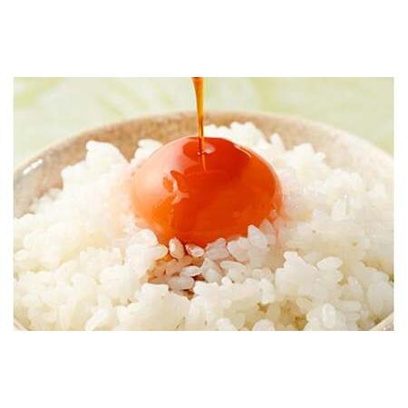 ふるさと納税 【6か月定期便】高根沢町産 たまご 加藤養鶏場の赤滅多にないご M〜L大きさ 30個(27個＋割れ埋めあわせ3個)×6ヶ月 計180個｜ 卵 鳥の子 た.. 栃木県高根沢町
