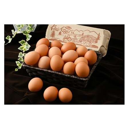 ふるさと納税 【6か月定期便】高根沢町産 たまご 加藤養鶏場の赤滅多にないご M〜L大きさ 30個(27個＋割れ埋めあわせ3個)×6ヶ月 計180個｜ 卵 鳥の子 た.. 栃木県高根沢町