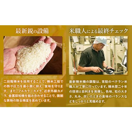 ふるさと納税 【隔月6回 定期便】白米 こしひかり 5kg 熊本県苓北町の画像