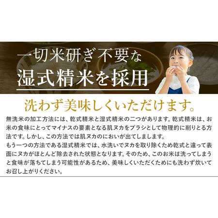ふるさと納税 【隔月6回 定期便】白米 こしひかり 5kg 熊本県苓北町の画像