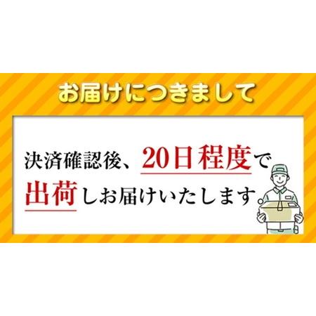 ふるさと納税 【数量限定品】 iPadPRO(第３世代) Wi-Fiモデル 64GB スペースグレイ キズあり品 【中古再生品】【Apple アップル アイパッド .. 神奈川県海老名市の画像