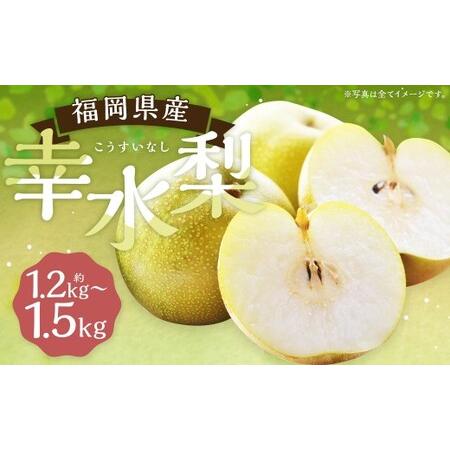 ふるさと納税 幸水梨 約1.2kg〜1.5kg 3玉 [よらん野][2026年7月下旬から8月下旬発送予定] ナシ なし 梨 フルーツ くだもの 果物 果実 3玉 福岡県筑後市