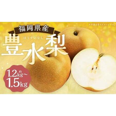 ふるさと納税 豊水梨 約1.2kg〜1.5kg 3玉 [よらん野][2026年8月下旬から9月下旬発送予定] ナシ なし 梨 フルーツ くだもの 果物 果実 3玉 福岡県筑後市