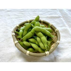 ふるさと納税 [2026年発送]枝豆(初だるま) 4袋入り 計1kg[ストロベリーみなみ][配送不可地域:離島][1691179] 群馬県榛東村