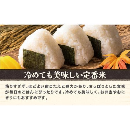 ふるさと納税 令和7年産 玄米 はえぬき 30kg ko-hagxa30 山形県尾花沢市の画像