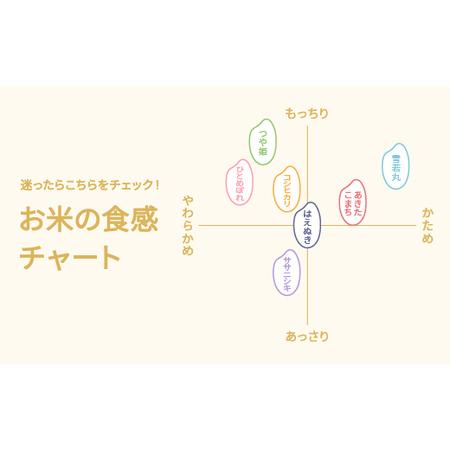 ふるさと納税 令和7年産 玄米 ひとめぼれ 30kg ko-higxa30 山形県尾花沢市の画像