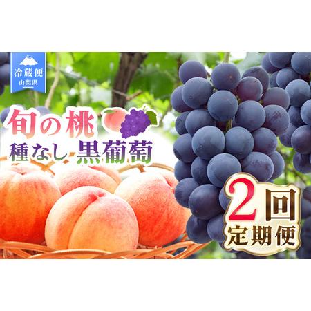 ふるさと納税 [2026年発送 先行予約]2回定期便 旬のフルーツ定期便(桃1kg・種無し黒葡萄1房) 180-022-26y 山梨県笛吹市