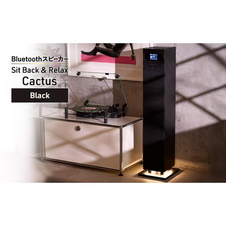 ふるさと納税 Sit Back & Relax Cactus Black ワイヤレスポータブルスピーカー ワイヤレス スピーカー オーディオ Bluetooth 東京都 文京区 東京都文京区