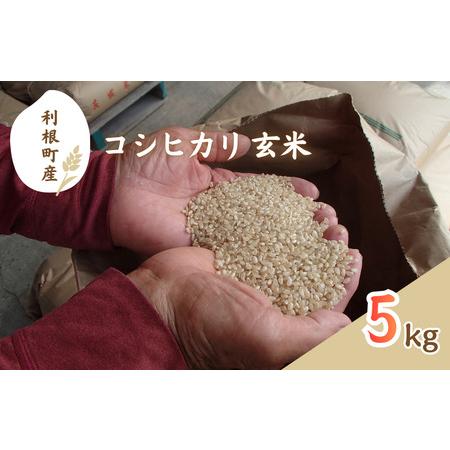 ふるさと納税 利根町産 コシヒカリ 玄米 5kg / 米 こめ コメ お米 おこめ コシヒカリ こしひかり 令和7年産 新米 玄米 ごはん ご飯 5kg 健康.. 茨城県利根町