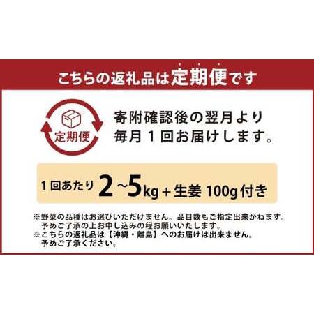 ふるさと納税 【定期便6回】旬の野菜の詰め合わせと栽培期間中農薬不使用の生姜100g付き 詰め合わせ 野菜セット 野菜 ギフト やさいセット お取.. 高知県香美市の画像