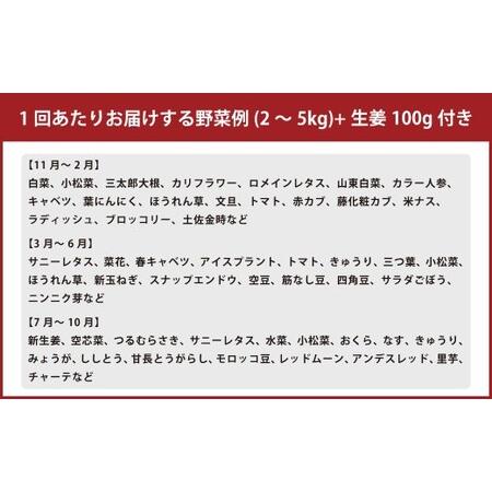 ふるさと納税 【定期便6回】旬の野菜の詰め合わせと栽培期間中農薬不使用の生姜100g付き 詰め合わせ 野菜セット 野菜 ギフト やさいセット お取.. 高知県香美市の画像