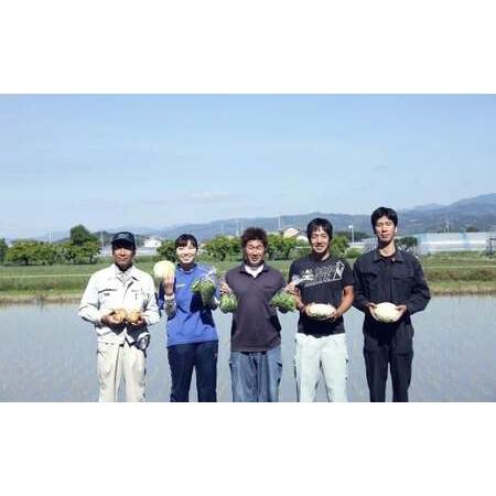 ふるさと納税 【定期便6回】旬の野菜の詰め合わせと栽培期間中農薬不使用の生姜100g付き 詰め合わせ 野菜セット 野菜 ギフト やさいセット お取.. 高知県香美市の画像
