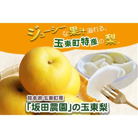 ふるさと納税 『坂田農園』の玉東梨 期間限定 予約受付中 約5kg《8月中旬-9月末頃出荷》 熊本県玉名郡玉東町産『坂田農園』｜ブランド梨 人気梨 .. 熊本県玉東町_1