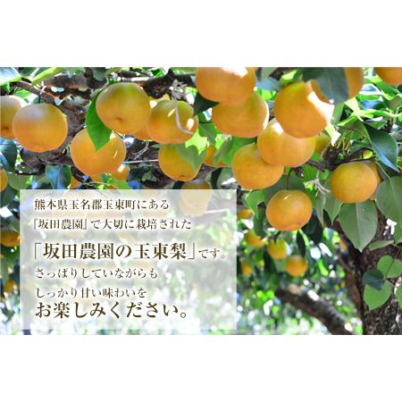 ふるさと納税 『坂田農園』の玉東梨 期間限定 予約受付中 約5kg《8月中旬-9月末頃出荷》 熊本県玉名郡玉東町産『坂田農園』｜ブランド梨 人気梨 .. 熊本県玉東町_2