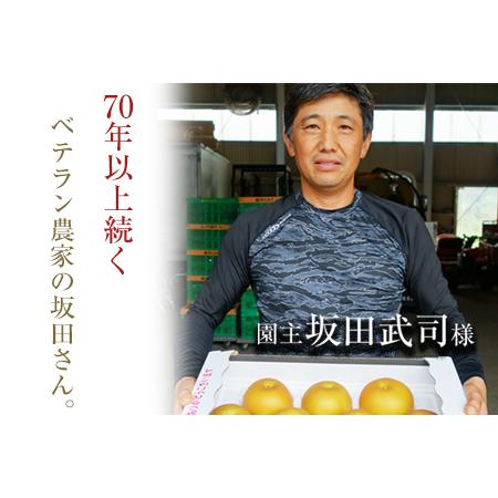 ふるさと納税 『坂田農園』の玉東梨 期間限定 予約受付中 約5kg《8月中旬-9月末頃出荷》 熊本県玉名郡玉東町産『坂田農園』｜ブランド梨 人気梨 .. 熊本県玉東町_3