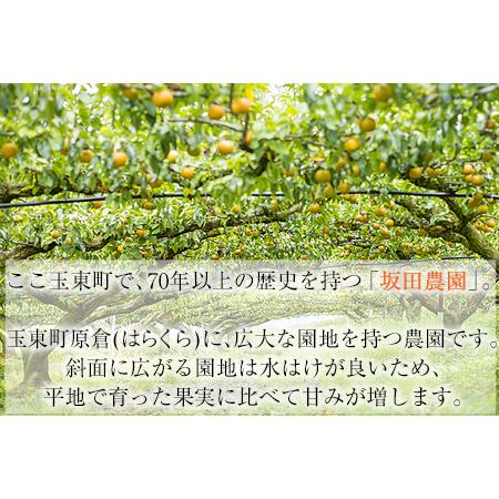 ふるさと納税 『坂田農園』の玉東梨 期間限定 予約受付中 約5kg《8月中旬-9月末頃出荷》 熊本県玉名郡玉東町産『坂田農園』｜ブランド梨 人気梨 .. 熊本県玉東町_4