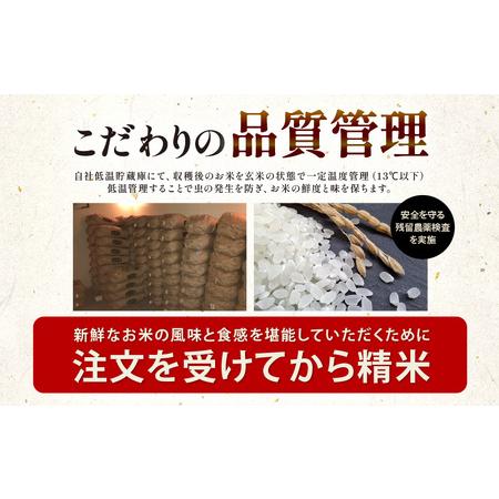 ふるさと納税 【先行予約】【令和8年産・新米】 定期便 ≪12ヶ月連続お届け≫ 坂井市産 にじのきらめき 白米 5kg×12回 計60kg (田中農園) .. 福井県坂井市
