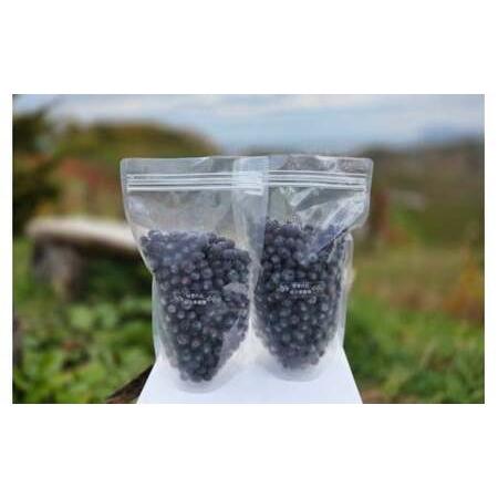 ふるさと納税 余市の砂川果樹園が贈る 訳あり冷凍ブルーベリー1Kg_Y033-0037 北海道余市町