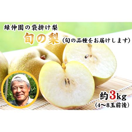 2700円 ランキングや新製品 ふるさと納税 緑伸園 旬の梨 たっぷり約3kg 旬の品種をお届けします 4 8玉前後入り 8月中旬 9月下旬頃より順次出荷 期間限定 予約受付 熊本県玉東町