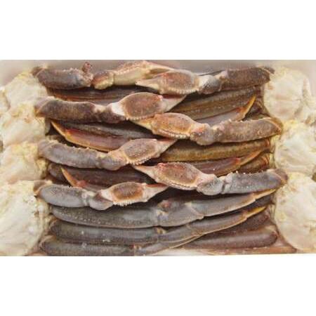 ふるさと納税 [2025年12月17日迄に入金確認で年内配送]生ずわい蟹 5L サイズ 3kg (6 〜 8肩) [12][価格改定:12月31日まで] かに カニ ず.. 大阪府阪南市