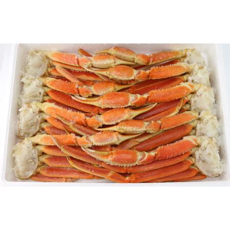 ふるさと納税 [2025年12月17日迄に入金確認で年内配送]ボイル ずわい蟹 4L サイズ 3kg (7 〜 9肩) [11][価格改定:12月31日まで] かに .. 大阪府阪南市