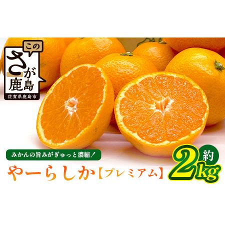 ふるさと納税 [先行予約][発送は2026年10月中旬から11月上旬ごろ]やーらしかみかん"プレミアム"約2kg(箱込み重量)|[数量限定]小粒サ.. 佐賀県鹿島市