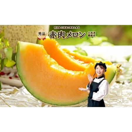 ふるさと納税 蘭越産 赤肉メロン 2玉 計 約 3kg 以上 [2026年7月上旬-8月上旬まで順次発送予定] 果物 くだもの フルーツ メロン めろん 日持ち.. 北海道蘭越町