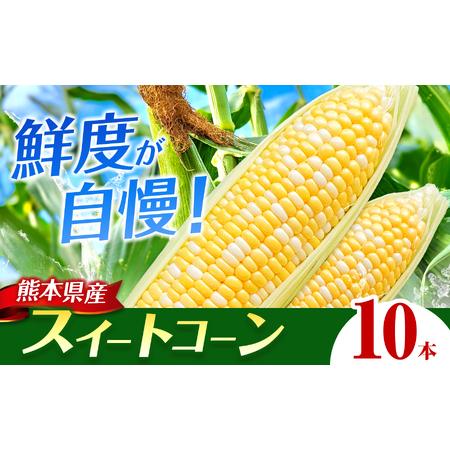 ふるさと納税 スイートコーン 10本 | コーン とうもろこし とうきび 甘い 焼き とうもろこし 茹で とうもろこし 熊本県 玉名市 熊本県玉名市