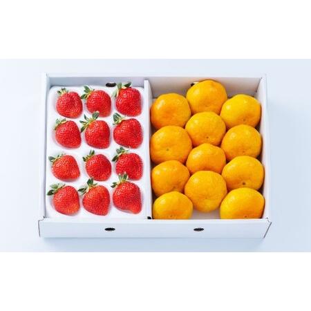 ふるさと納税 A331 福岡県産あまおう&山川みかん詰合せ(あまおう12-15粒、山川みかん9-12玉) いちご イチゴ 苺 みかん ミカン 蜜柑 果物 く.. 福岡県みやま市