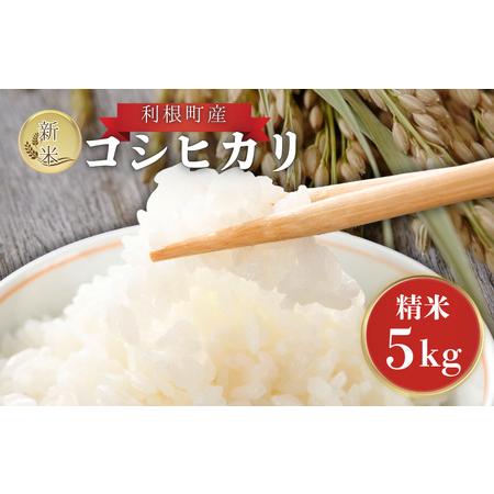 ふるさと納税 利根町産 コシヒカリ 精米 5kg / 米 こめ コメ お米 おこめ コシヒカリ こしひかり 令和7年産 新米 精米 白米 ごはん ご飯 5kg.. 茨城県利根町