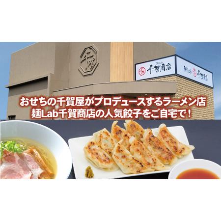 ふるさと納税 千賀商店 特製餃子 2箱（48個入）セット_【G0704】 愛知県蒲郡市の画像