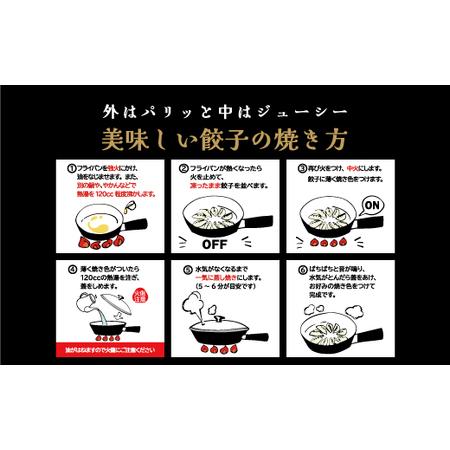 ふるさと納税 千賀商店 特製餃子 2箱（48個入）セット_【G0704】 愛知県蒲郡市の画像