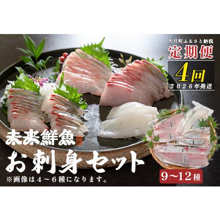 ふるさと納税 [定期便4回]旬のお刺身用柵セット 9〜12種 高知 盛り合わせ 厳選 ギフト 御中元 海の幸 寿司 高知県大月町