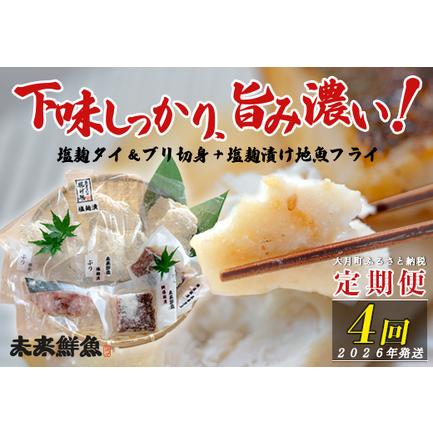 ふるさと納税 [定期便4回]塩麹に漬け込んだタイ&ブリ&地魚フライ 鯛 たい 鰤 ブリ 白身魚 揚げ物 おかず 高知県大月町