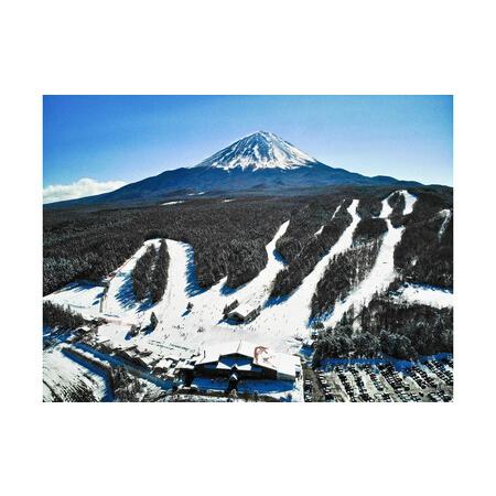 ふるさと納税 ふじてんスノーリゾート 1日リフト券引換券1枚 2025-2026シーズン 山梨県富士河口湖町