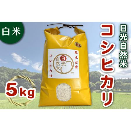 ふるさと納税 [数量限定/令和7年度米] 日光市産 コシヒカリ 白米 5kg[自然栽培米『日光自然米』/農薬不使用・化学肥料不使用]|2025年度米 .. 栃木県日光市