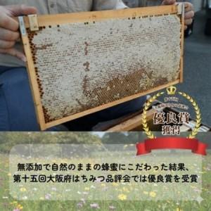 ふるさと納税 大阪府和泉市 国産天然はちみつ(600g×2) 日蜂協会員 無添加 自家採蜜 大植養蜂園【1680107】 大阪府和泉市の画像