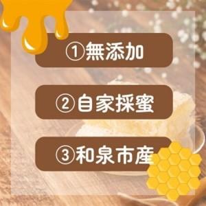 ふるさと納税 大阪府和泉市 国産天然はちみつ(600g×2) 日蜂協会員 無添加 自家採蜜 大植養蜂園【1680107】 大阪府和泉市の画像