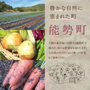ふるさと納税 【大阪能勢産】 《農家直送》 べじたぶるぱーくの旬の新鮮野菜詰合せ Lセット (10種類) | べじたぶるぱーく野菜詰め合わせ 野菜 農.. 大阪府能勢町_1