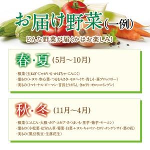 ふるさと納税 【大阪能勢産】 《農家直送》 べじたぶるぱーくの旬の新鮮野菜詰合せ Lセット (10種類) | べじたぶるぱーく野菜詰め合わせ 野菜 農.. 大阪府能勢町_3