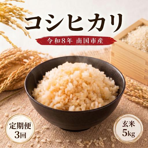 ふるさと納税 【3回定期便】玄米 5kg コシヒカリ 令和8年度 玄米  高知県南国市 | 