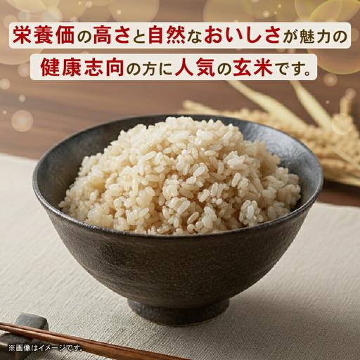 ふるさと納税 【3回定期便】玄米 5kg コシヒカリ 令和8年度 玄米  高知県南国市 |  | 01