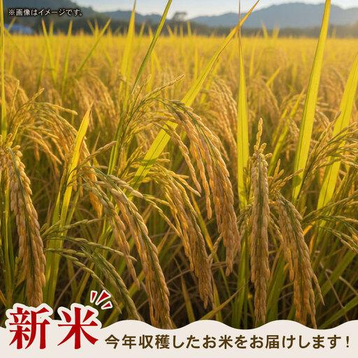 ふるさと納税 【3回定期便】玄米 5kg コシヒカリ 令和8年度 玄米  高知県南国市 |  | 03