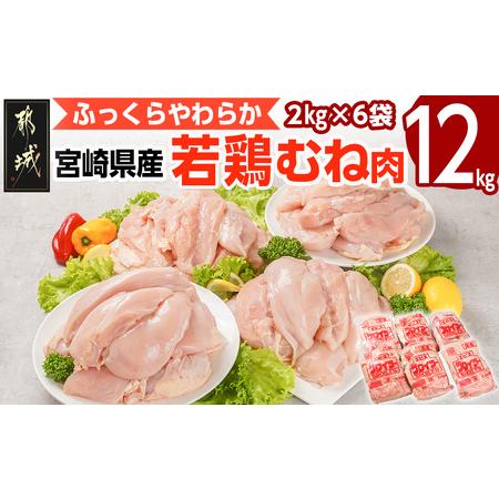 ふるさと納税 [2026年2月お届け]宮崎県産若鶏 むね肉(12kg)_AC-G301-2602 宮崎県都城市